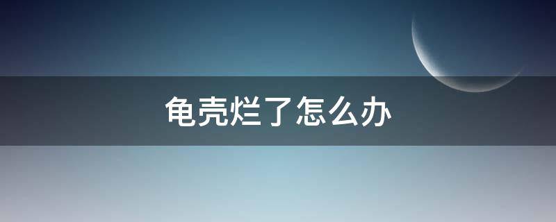 龟壳烂了怎么办（乌龟的龟壳烂了怎么办）