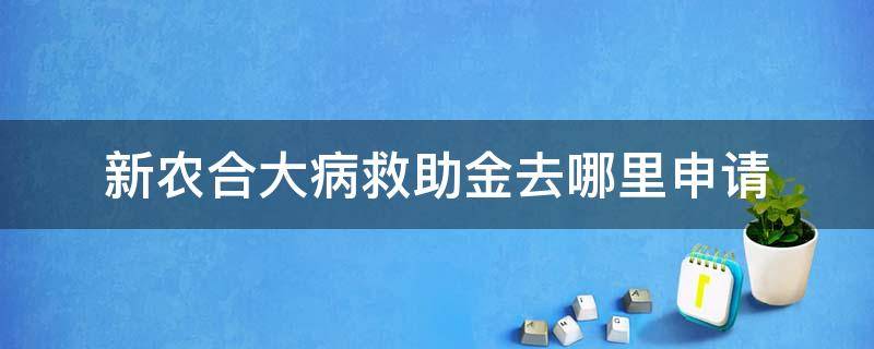 新农合大病救助金去哪里申请（2022新农合大病救助金去哪里申请）