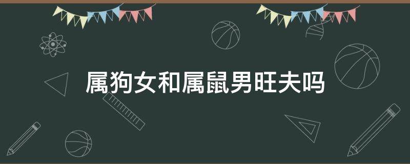 属狗女和属鼠男旺夫吗 属狗男与属鼠女大忌