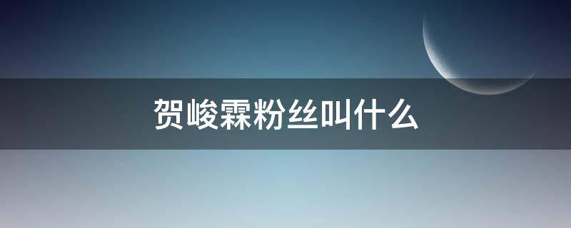 贺峻霖粉丝叫什么（贺峻霖粉丝名叫什么）