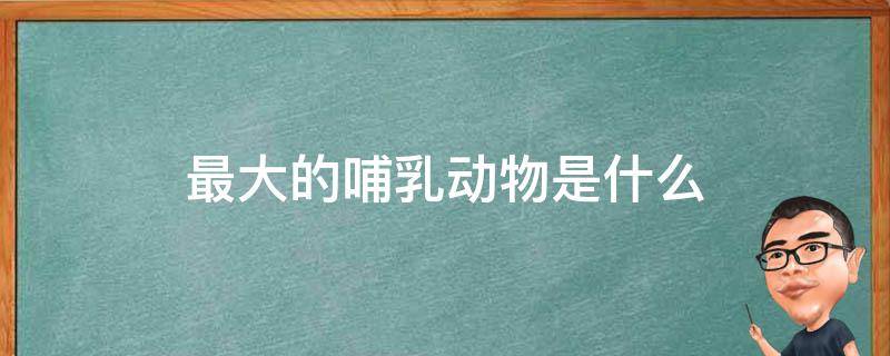 最大的哺乳动物是什么 陆地上最大的哺乳动物是什么