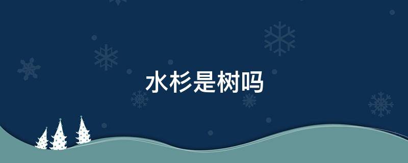 水杉是树吗 水杉是什么样的树