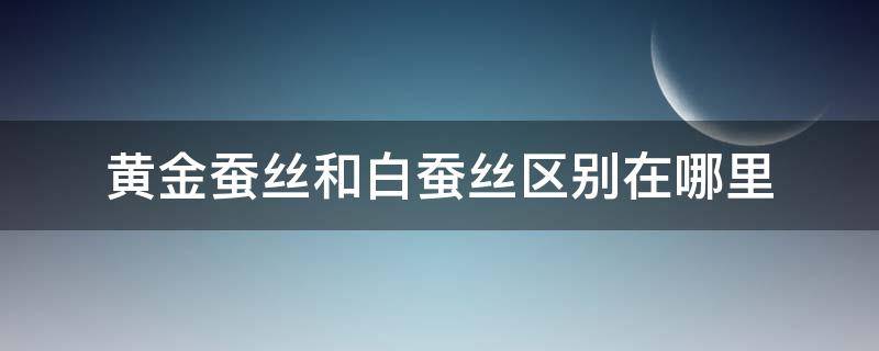 黄金蚕丝和白蚕丝区别在哪里（蚕丝黄金丝是比白色丝好）