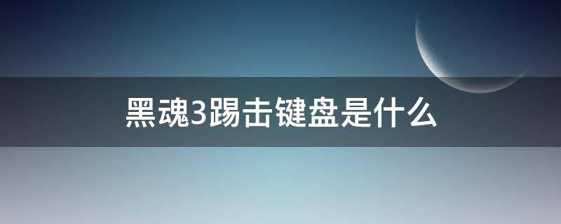 黑魂3踢击键盘是什么 黑魂3踢击键盘是什么手柄