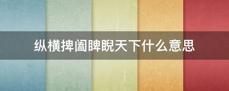 纵横捭阖睥睨天下什么意思（睥睨捭阖是什么意思）