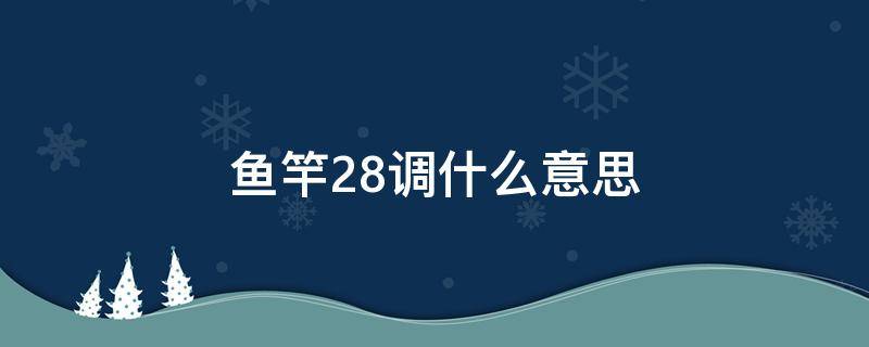 鱼竿28调什么意思（鱼竿28调是几h）