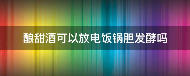 酿甜酒可以放电饭锅胆发酵吗（用电饭锅内胆可以酿甜酒吗）