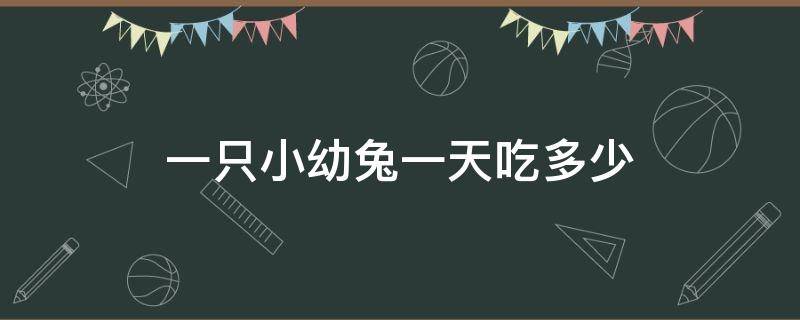 一只小幼兔一天吃多少（一只小幼兔一天吃多少草吃几顿光吃草）