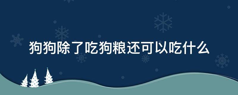 狗狗除了吃狗粮还可以吃什么（三个月大的狗狗除了吃狗粮还可以吃什么）