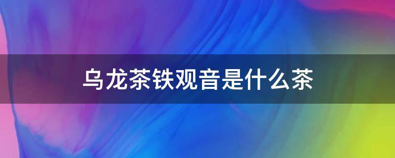 乌龙茶铁观音是什么茶 乌龙茶是铁观音茶吗