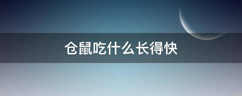 仓鼠吃什么长得快（仓鼠吃什么东西长得快）