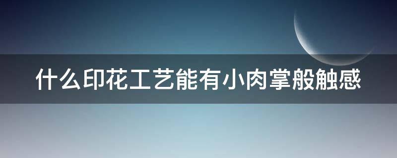 什么印花工艺能有小肉掌般触感（印花还有什么工艺）