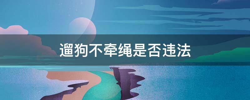 遛狗不牵绳是否违法 武汉遛狗不牵绳是否违法