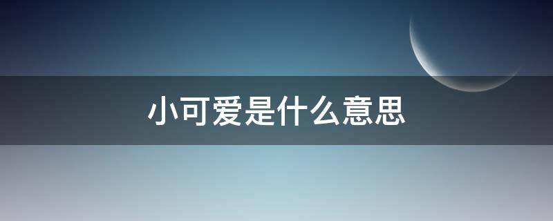 小可爱是什么意思（网络用语小可爱是什么意思）