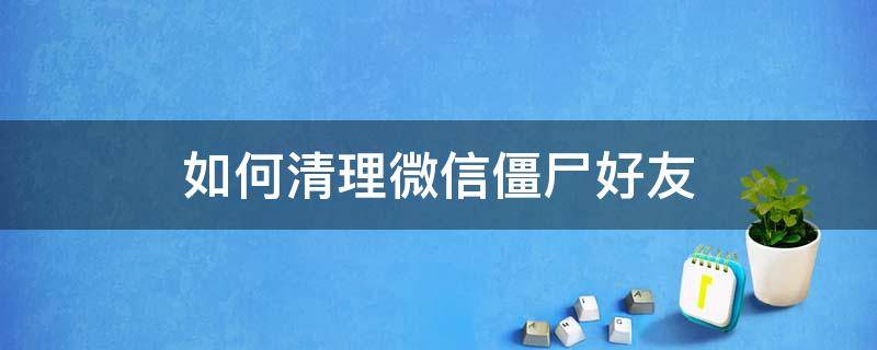 如何清理微信僵尸好友 微信好友清理死尸