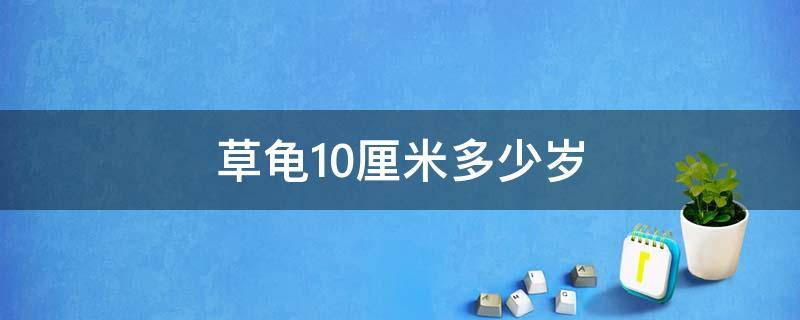 草龟10厘米多少岁 10厘米草龟几岁