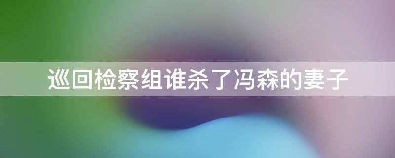 巡回检察组谁杀了冯森的妻子（巡回检察组冯森老婆为什么被杀）