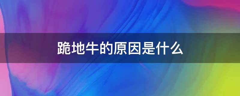 跪地牛的原因是什么 牛会跪地吗