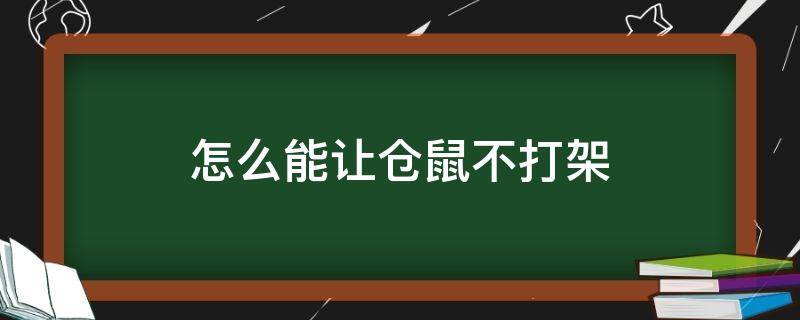 怎么能让仓鼠不打架（有什么办法让仓鼠不打架）