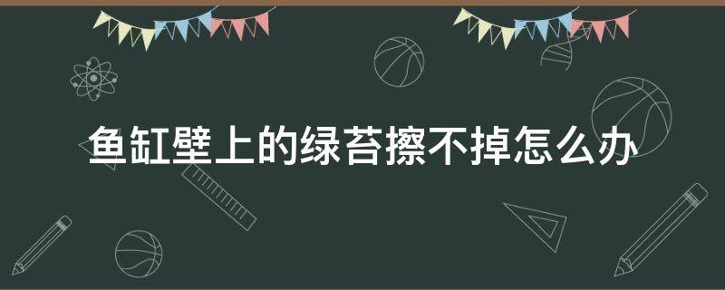 鱼缸壁上的绿苔擦不掉怎么办（鱼缸玻璃上绿苔擦不掉）