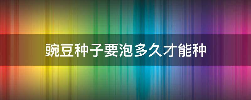 豌豆种子要泡多久才能种（豌豆种子泡多久才可以种）