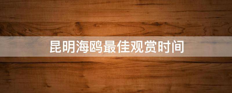 昆明海鸥最佳观赏时间（昆明海鸥最佳观赏时间月份）