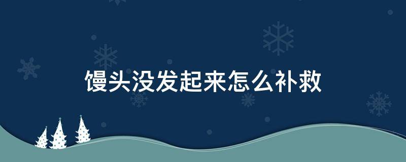 馒头没发起来怎么补救 馒头没发起来怎么补救加白酒吗