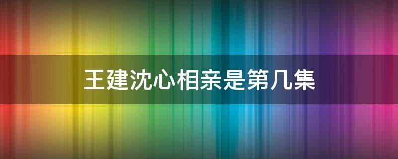 王建沈心相亲是第几集 沈心王健初次见面第几集