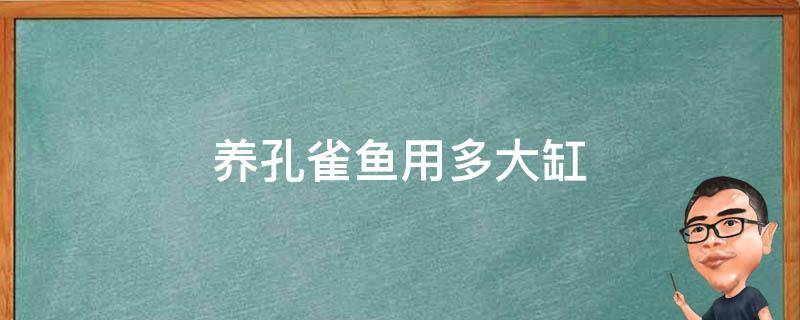 养孔雀鱼用多大缸（家养孔雀鱼用多大的鱼缸最合适）