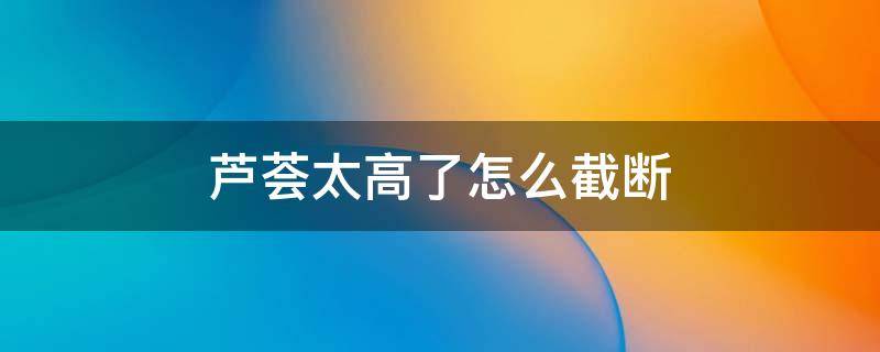 芦荟太高了怎么截断 芦荟太高能从中间剪断吗