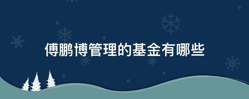 傅鹏博管理的基金有哪些（傅鹏博现在管理的基金有哪些）