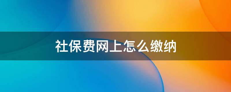 社保费网上怎么缴纳 社保在网上怎样缴费