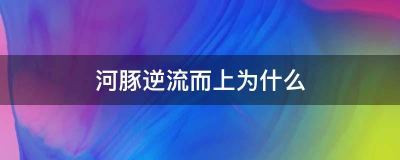 河豚逆流而上为什么 河豚为什么每年春天逆流而上