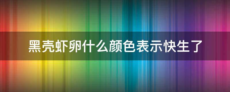 黑壳虾卵什么颜色表示快生了（黑壳虾生的是虾还是卵?）