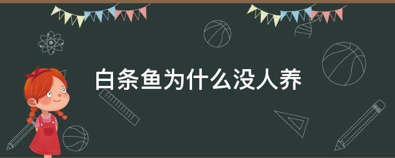 白条鱼为什么没人养 白条鱼能养活吗