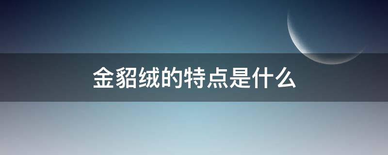 金貂绒的特点是什么 貂绒和金貂绒的区别