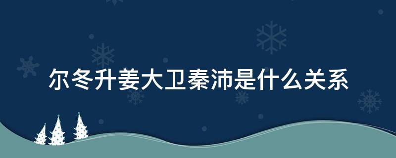 尔冬升姜大卫秦沛是什么关系（秦沛、姜大卫和尔冬升）