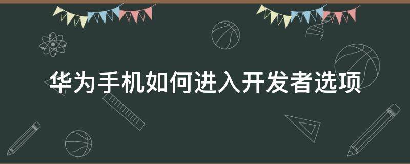 华为手机如何进入开发者选项 华为手机怎么进入开发者选项