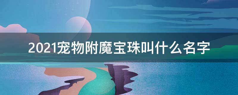 2021宠物附魔宝珠叫什么名字 2021年宠物附魔宝珠叫什么名字