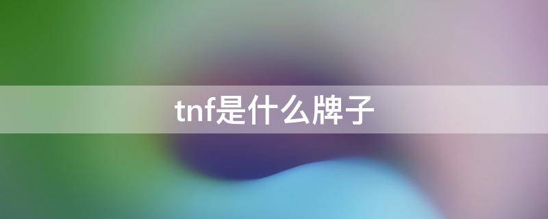 tnf是什么牌子 tnf是什么牌子贵吗