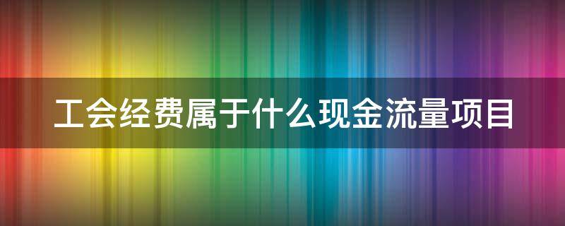 工会经费属于什么现金流量项目 工会经费属于现金流量表哪个项目