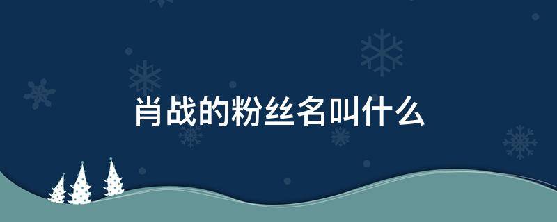 肖战的粉丝名叫什么 肖战的粉丝名叫什么和应援色是什么