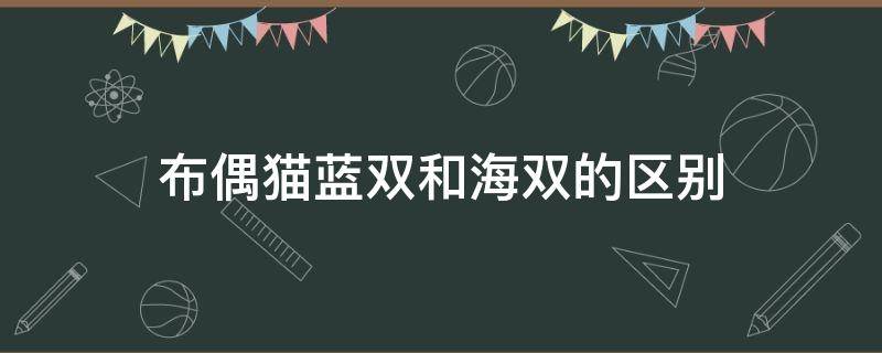 布偶猫蓝双和海双的区别 蓝双布偶猫和海双布偶猫的区别