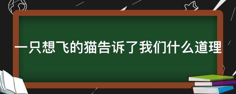 一只想飞的猫告诉了我们什么道理（一只想飞的猫告诉我们什么道理简短）