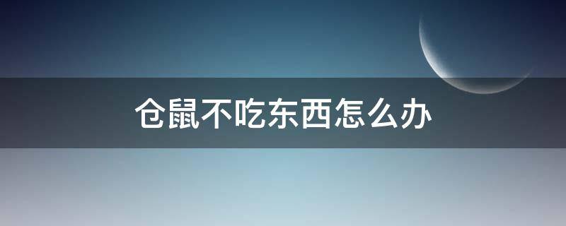 仓鼠不吃东西怎么办（仓鼠不吃东西怎么办变瘦了）