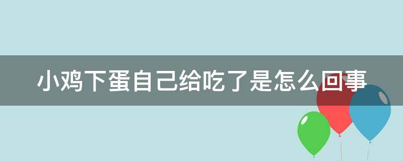 小鸡下蛋自己给吃了是怎么回事（小鸡下蛋后自己吃掉了是怎么回事）