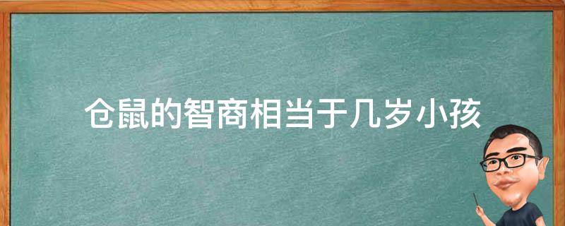 仓鼠的智商相当于几岁小孩（仓鼠的智商高不高?）