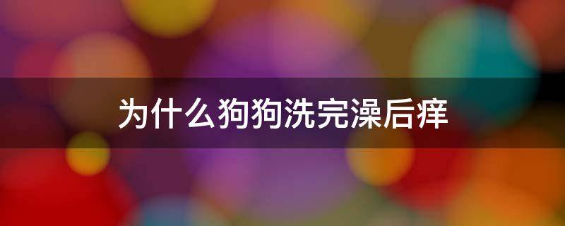 为什么狗狗洗完澡后痒 狗洗澡完为什么还是痒