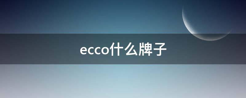 ecco什么牌子（ecco什么牌子的鞋）