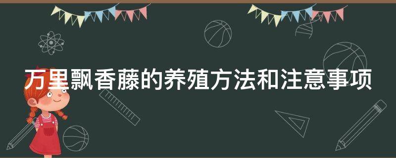 万里飘香藤的养殖方法和注意事项 万里飘香藤的养殖方法和注意事项视频